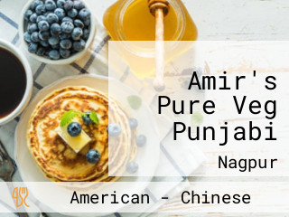 Amir's Pure Veg Punjabi