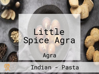 Little Spice Agra