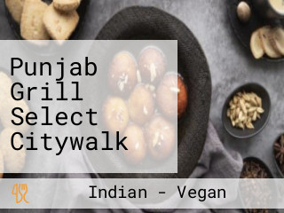 Punjab Grill Select Citywalk