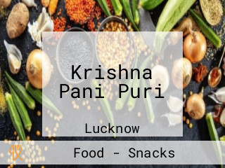 Krishna Pani Puri