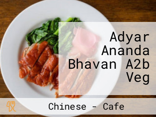 Adyar Ananda Bhavan A2b Veg