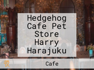 Hedgehog Cafe Pet Store Harry Harajuku