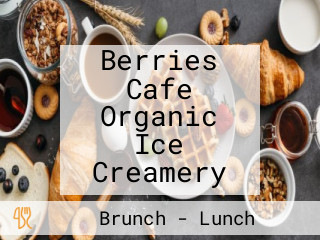 Berries Cafe Organic Ice Creamery