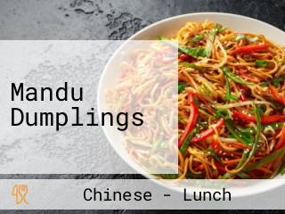 Mandu Dumplings