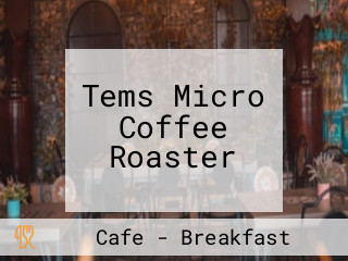 Tems Micro Coffee Roaster