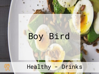Boy Bird