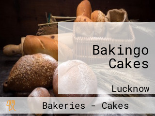 Bakingo Cakes