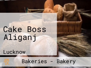 Cake Boss Aliganj
