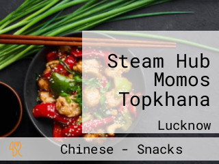Steam Hub Momos Topkhana