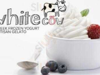 White Cow Greek Frozen Yogurt, Artisan Gelato