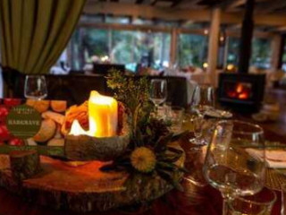 Rainforest Restaurant Lounge Bar