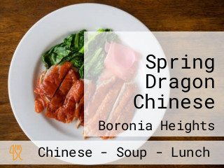 Spring Dragon Chinese