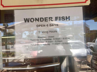Wonderfish
