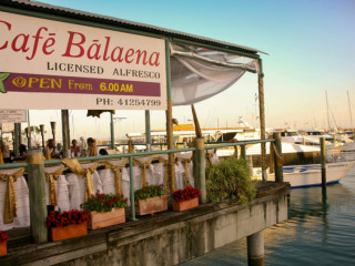Cafe Balaena