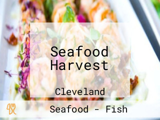 Seafood Harvest