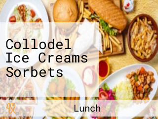 Collodel Ice Creams Sorbets