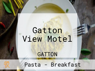 Gatton View Motel