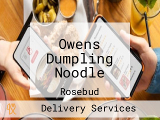 Owens Dumpling Noodle