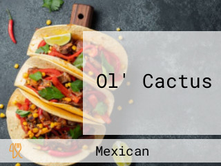 Ol' Cactus