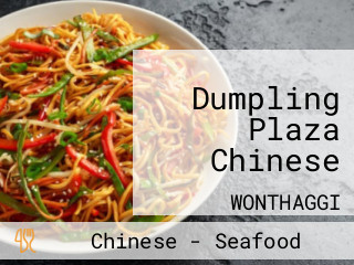 Dumpling Plaza Chinese