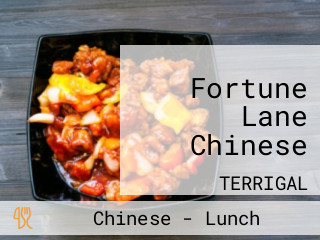 Fortune Lane Chinese