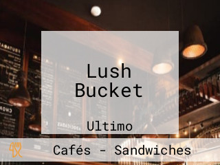 Lush Bucket