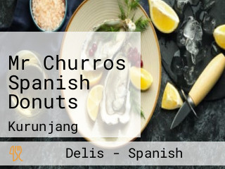 Mr Churros Spanish Donuts