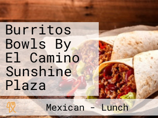 Burritos Bowls By El Camino Sunshine Plaza