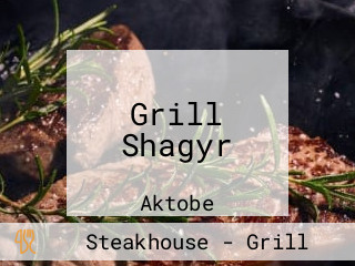 Grill Shagyr