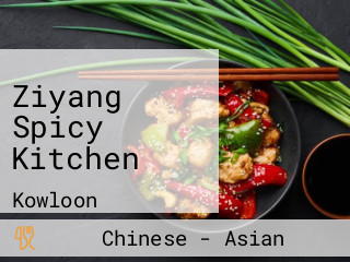 Ziyang Spicy Kitchen