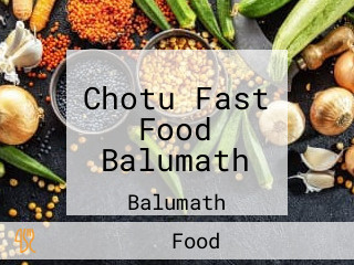 Chotu Fast Food Balumath