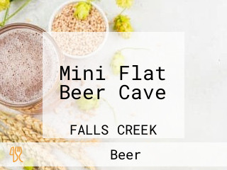 Mini Flat Beer Cave