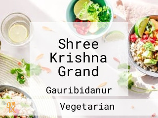 Shree Krishna Grand