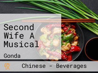 Second Wife A Musical