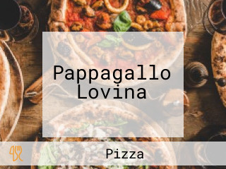 Pappagallo Lovina