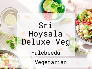 Sri Hoysala Deluxe Veg