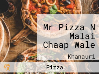 Mr Pizza N Malai Chaap Wale