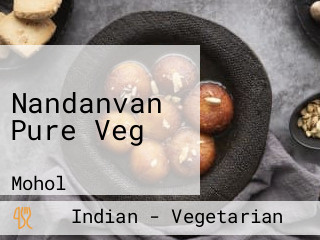 Nandanvan Pure Veg