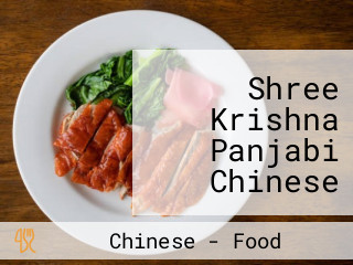 Shree Krishna Panjabi Chinese Food Center
