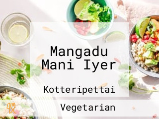 Mangadu Mani Iyer