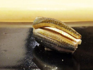 Sushi Murayama