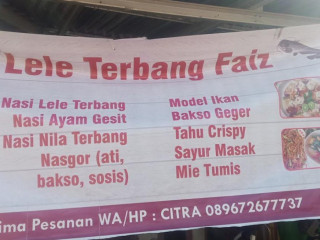 Lele Terbang Crispy Faiz