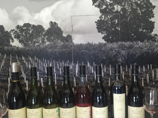 Willow Creek Vineyard