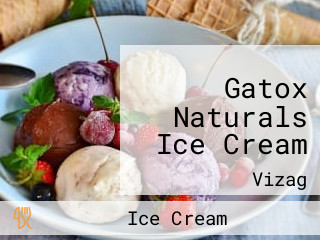 Gatox Naturals Ice Cream