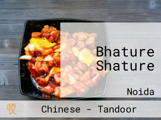 Bhature Shature