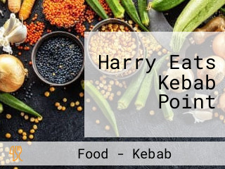 Harry Eats Kebab Point