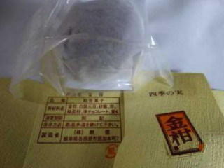 Bǐng Xìn Yù Guǒ Zi Chǔ Tí Zhǎo Cháo Rì Diàn