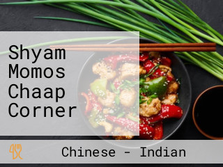 Shyam Momos Chaap Corner