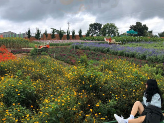 Quán Mê Linh Cà Phê Garden Đà Lạt