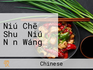 Niú Chē Shuǐ Niú Nǎn Wáng